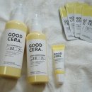 홀리카홀리카고속 - 22609 | 홀리카홀리카고속