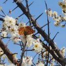 한양아파트 사거리(시골순대국) | [경기둘레길 안성 43코스] 프로둘레러 전국 둘레길 완주하기, 안성천 트레킹 코스, 평택, 안성 트레킹...
