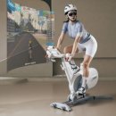 고노동길 이미지