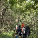 대성골2 | 단천지능-대성골 산행후기