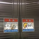 대흥메디팜 이미지