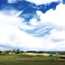 ㈜해바라기태양광에너지 이미지