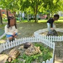 나운어린이집 이미지