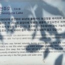카페1440' | [포천시] "포천아트밸리": 반려견 동반 이색 명소, 천주호부터 카페, 맛집까지 솔직 후기