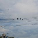 교동면옥 태전점 이미지