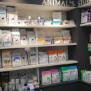 굿닥터동물병원 이미지