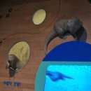 아천 문화관 이미지