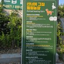 산너머그집꿀 | 대구 고모동 카페 수성패밀리파크근처 동물체험 카페 '산너머그집꿀카페'