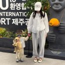 이너덴 | 이아 WES 셔츠 후기｜여름 바람막이처럼 입기 좋은 시어 아우터 셔츠 추천