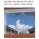 놀 땐 디질때까지, 일할 땐 피할 수 있을때까지