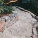 인조유기비어린이공원 이미지