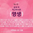 영생 Daum카페