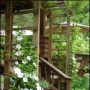 불바라기팬션 이미지