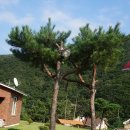 연하우스 Daum카페