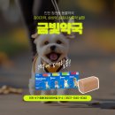 엑슬루약국 이미지