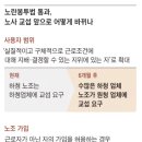 노랑봉투법 진짜 이름 대량해고 법 ( 이재명+더불어민주당+노동단체 진짜 머리에 생각이 없네) 이미지