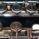 플루트(1년) 이미지