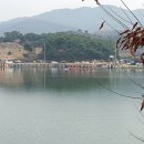 밤밭실내낚시터 이미지