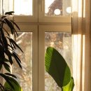 유니팝미술학원 이미지