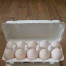 동녁골농장 이미지