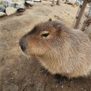 서원정 | [결혼 준비_08] 상견례_서원더뷰