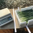 마디마디힘찬한의원 이미지