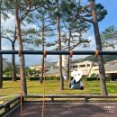 포레스트 빌리지 | 강원도 오크밸리 리조트, 조식 뷔페 포레스트 힐스빌리지 수영장 객실 후기