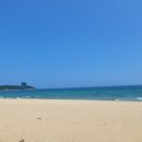 세븐일레븐 강릉금진해변점 이미지