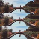 알미목장 이미지