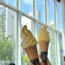 [8월의 넷째주] 셋째주 삭제, 슬펐던 시간에 대한 보상(담백이, 속초여행, 오아시스 엘림, 나는 무해해)