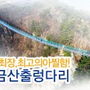 도담여행사 이미지