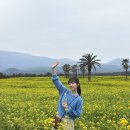 마심 이미지