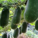 한반동농장 이미지