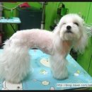 스테이 모량 이미지