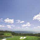 오션비치 이미지