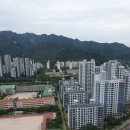 과천자이 공인중개사사무소 네이버블로그