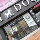 아임독 애견샵 이미지