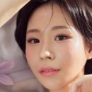 샘애드 이미지