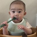 뉴플러스인테리어 | 야마토야 하이체어 "뉴마터나 플러스" 사용후기
