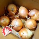 내양농장 이미지