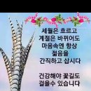 생활 속 지혜 모음 이미지