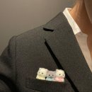 히카리 네이버블로그