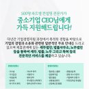 대한인력컨설팅 이미지