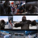 미스터고 이미지