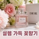 블루밍노트 | 디올 향수 블루밍 30ml 가격 후기와 데일리 추천
