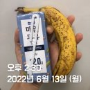 승승무역 | 6월 2주차 - 한달 뒤 면접 때까지 서울살이 예정입니다