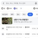 흙이야기 | 목포 흙이야기 버섯탕 후기, 현대 바이 라한 호텔에서 가까운 식당