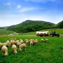 청정목장2 이미지