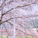 달창저수지 이미지