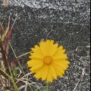 마라톤모텔 이미지